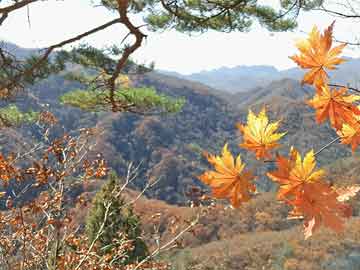 贾玲回应减肥100斤后观众缘变差